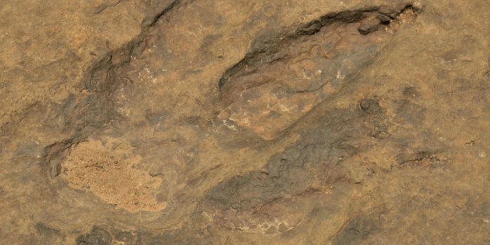 PRONAĐENE STOTINE tragova dinosaurusa!