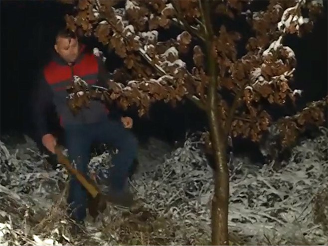 U ČARDAČANIMA KOD LAKTAŠA prvi badnjak usjekli vrijedni mještani (VIDEO)