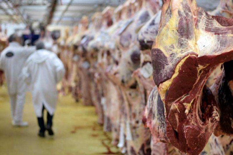 CRNA GORA: Zabranjen uvoz svinjetine iz više zemalja, na listi i Srbija i Sjeverna Makedonija!