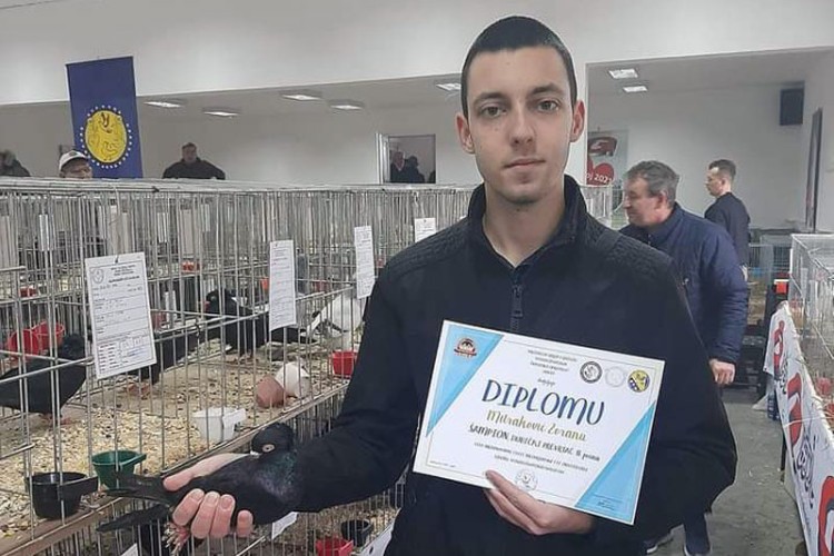 RIJEDAK GOLUB KOŠTA STOTINE MARAKA Neobičan hobi Srpčanina kiti trofejima