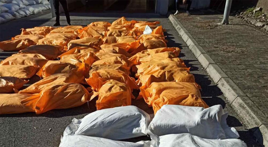 UMJESTO LJEKOVITOG BILJA - MARIHUANA Carinici se šokirali kada su zaustavili kamion