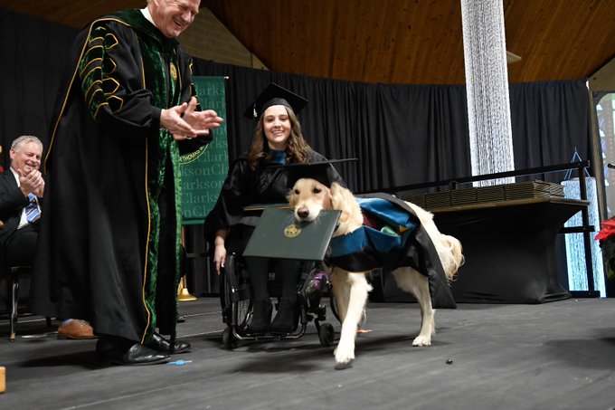 PRIJATELJ U SVAKOJ SITUACIJI Psu dodijeljena fakultetska diploma