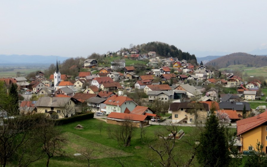 MEDVJED NAPAO ŽENU dok je šetala šumom! Policija UPOZORAVA - budite oprezni!
