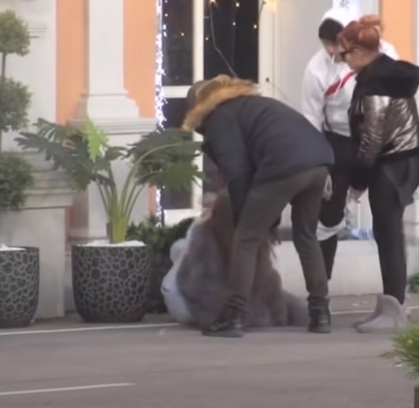 DALILA DOŽIVJELA NERVNI SLOM pa lomila sve pred sobom i urlala iz sveg glasa, obezbjeđenje odmah uletilo!