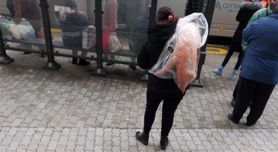GOSPOĐETINA! Prebacila prase preko ramena i čeka autobus