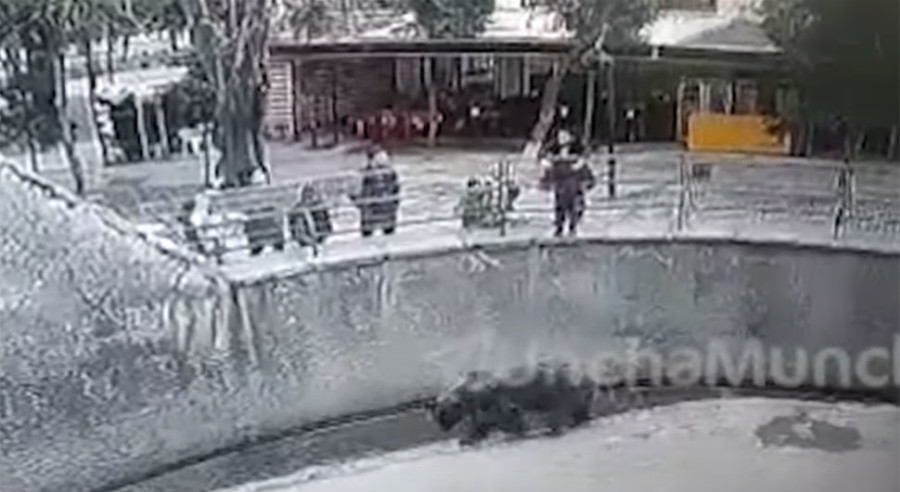 UZNEMIRIJUĆI VIDEO! Majka bacila KĆERKICU (3) u kavez sa medvjedima, STRAVIČNO (VIDEO)
