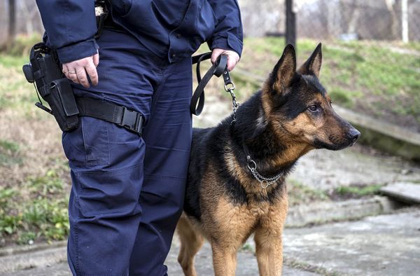 NIJE ZA ONE SA SLABIM ŽELUCEM! Majka IZBOLA SINA (10) nožem, pa ga spakovala u PUTNU TORBU i bacila