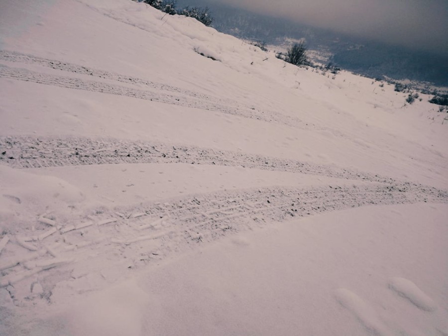 KLIZAVO U BATAJNICI! Nekoliko vozila sletilo s puta