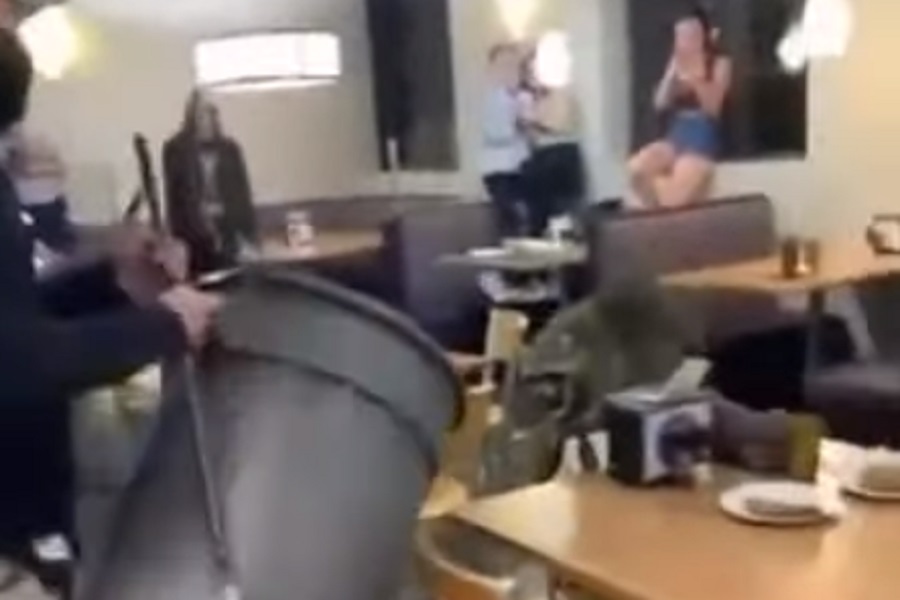 Mala životinja ISPREPADALA STUDENTE na fakultetu, u menzi! (VIDEO)