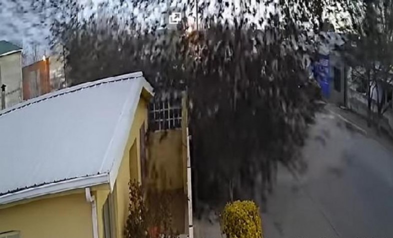 JEZIVA I BIZARNA SCENA U Meksiku palo VELIKO JATO PTICA direkt na zemlju! (VIDEO)
