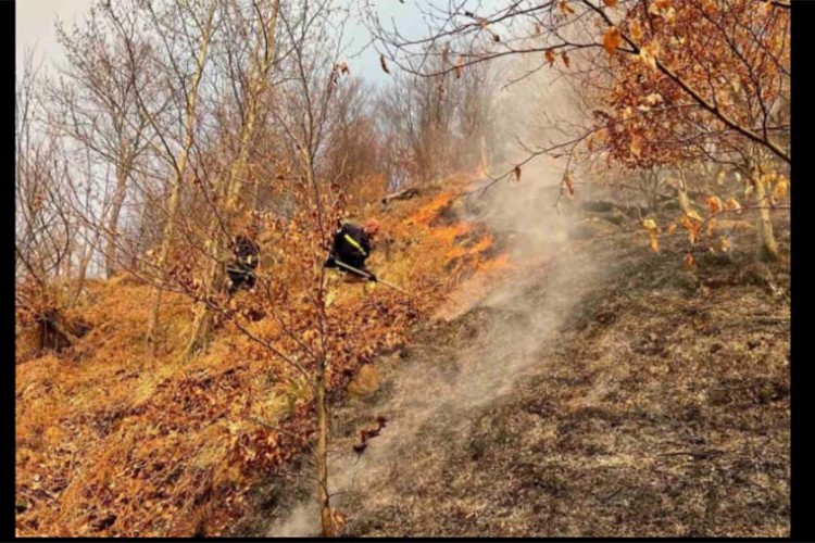 VATRA ZAHVATILA I MINSKO POLJE: Požari na području Čapljine, Konjica i Jablanice