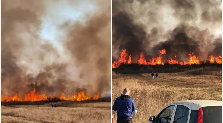 DRAMA U KOMŠILUKU: Vatra "guta" sve oko Dubrave, ima povrijeđenih