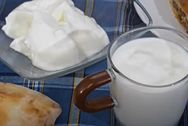 ODRŽITE CRIJEVNU MIKROFLORU U RAVNOTEŽI Ove namirnice su dostojna zamjena za kupljene probiotike