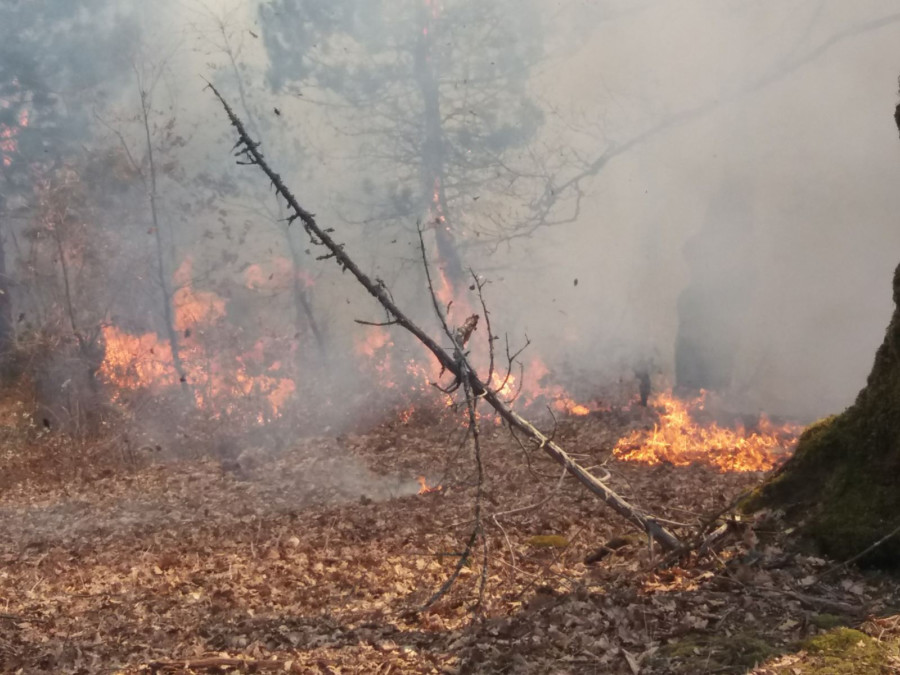 U FOČI I DANAS aktivna tri šumska požara