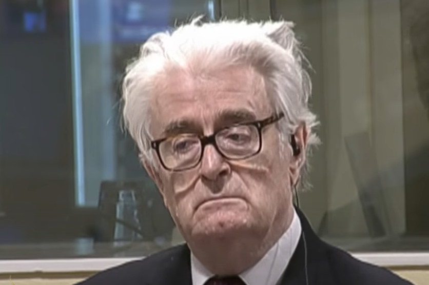 ISTORIČAR RAZGOVARAO SA BIVŠIM PREDSJEDNIKOM Raković: "Karadžić mi otkrio da je Alija bio za podjelu BiH na tri države"