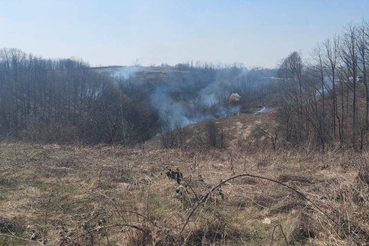 STIGLI VATROGASCI! Gori šuma i nisko rastinje na Čokorskim poljima