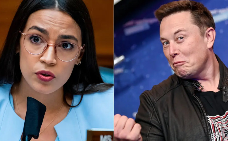 PRESTANI MI SE NABACIVATI! Ilon Mask odbrusio američkoj političarki