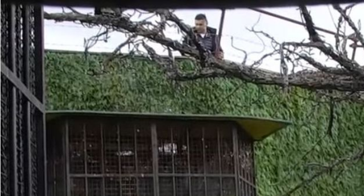BEBICA BJEŽI IZ ZADRUGE NAKON RASKIDA SA MILJANOM: Nenad ne može da prihvati da ne želi da bude sa njim