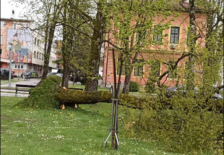 NEVRIJEME U PRIJEDORU! Letjeli krovovi, počupano drveće