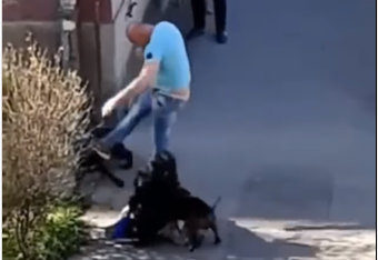 (UZNEMIRUJUĆI VIDEO) Nasilnik šutirao psa, pa udario ženu! Urlao: "Gdje ti je povodac?!"