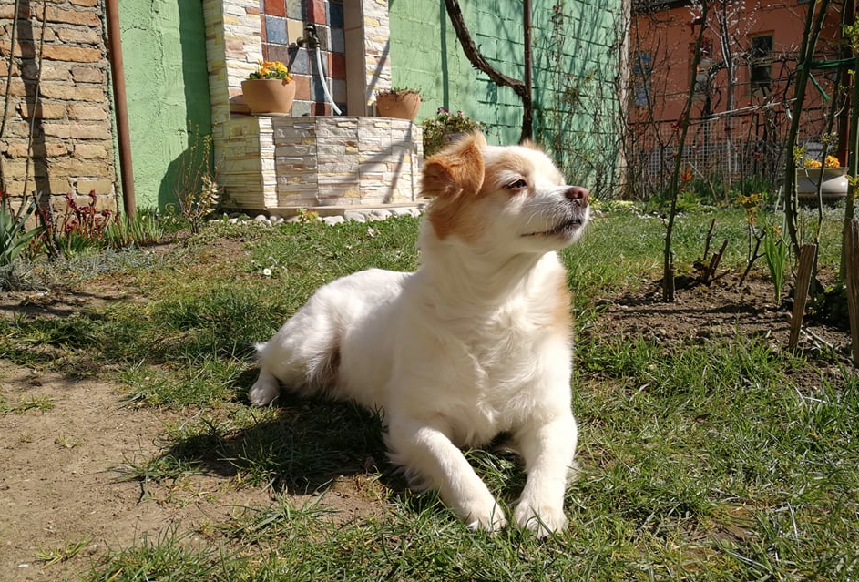 Evo kakvo nas vrijeme očekuje danas!