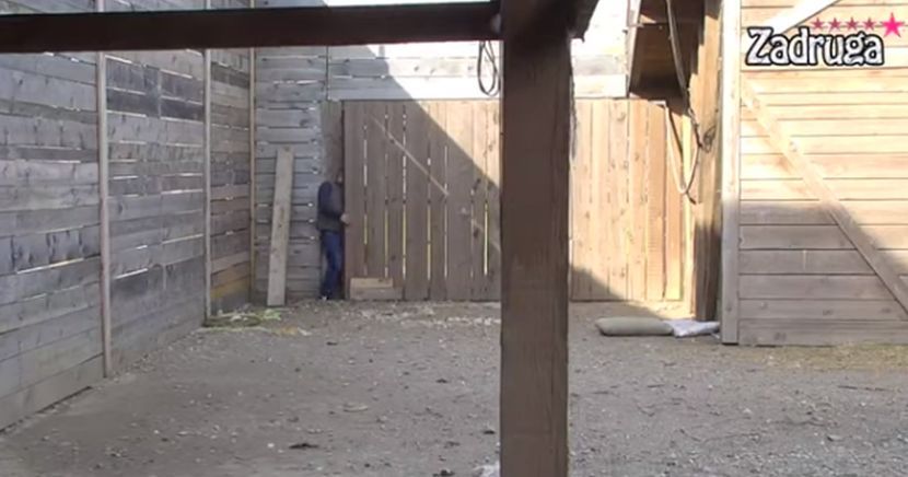 BEBICA RAZVALIO OGRADU I POBJEGAO iz Zadruge nakon pomirenja Miljane i Zole (VIDEO)