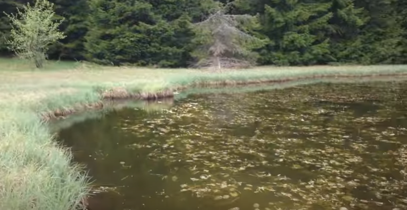 ČUDESNO I MISTERIOZNO JEZERO U SRBIJI! Dajićko jezero: Prirodni fenomen "obavijen" legendema
