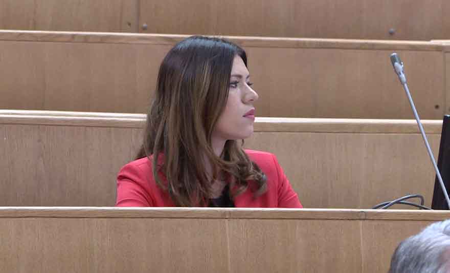 VULIĆ BEZ DLAKE NA JEZIKU: Veza SDA i SDS neraskidiva, Šarovićev kadar zaštićen kao "bubreg u loju"