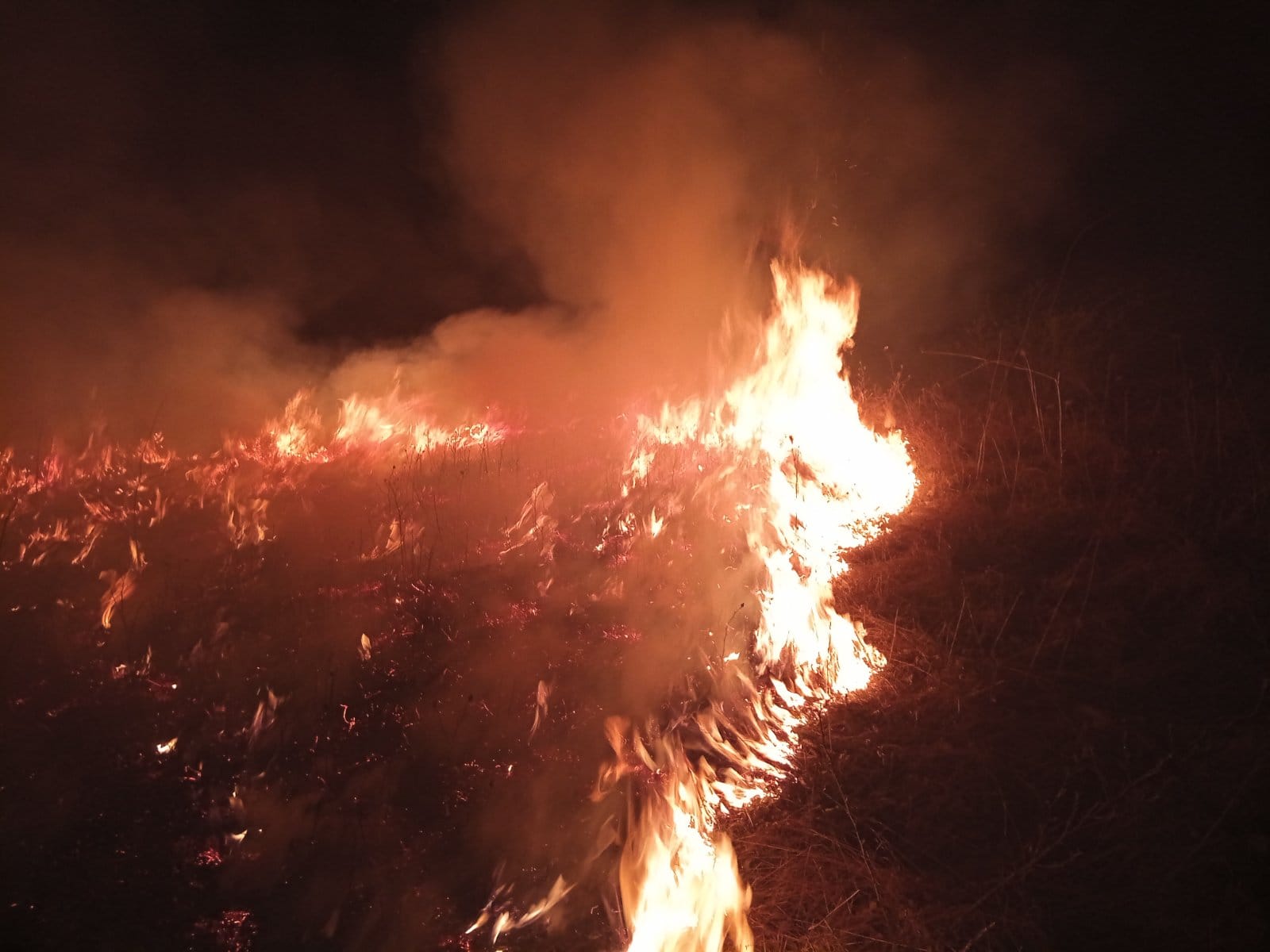DRAMA NA VLAŠIĆU Gori vikendica, vatra zahvatila i dio šume (VIDEO)