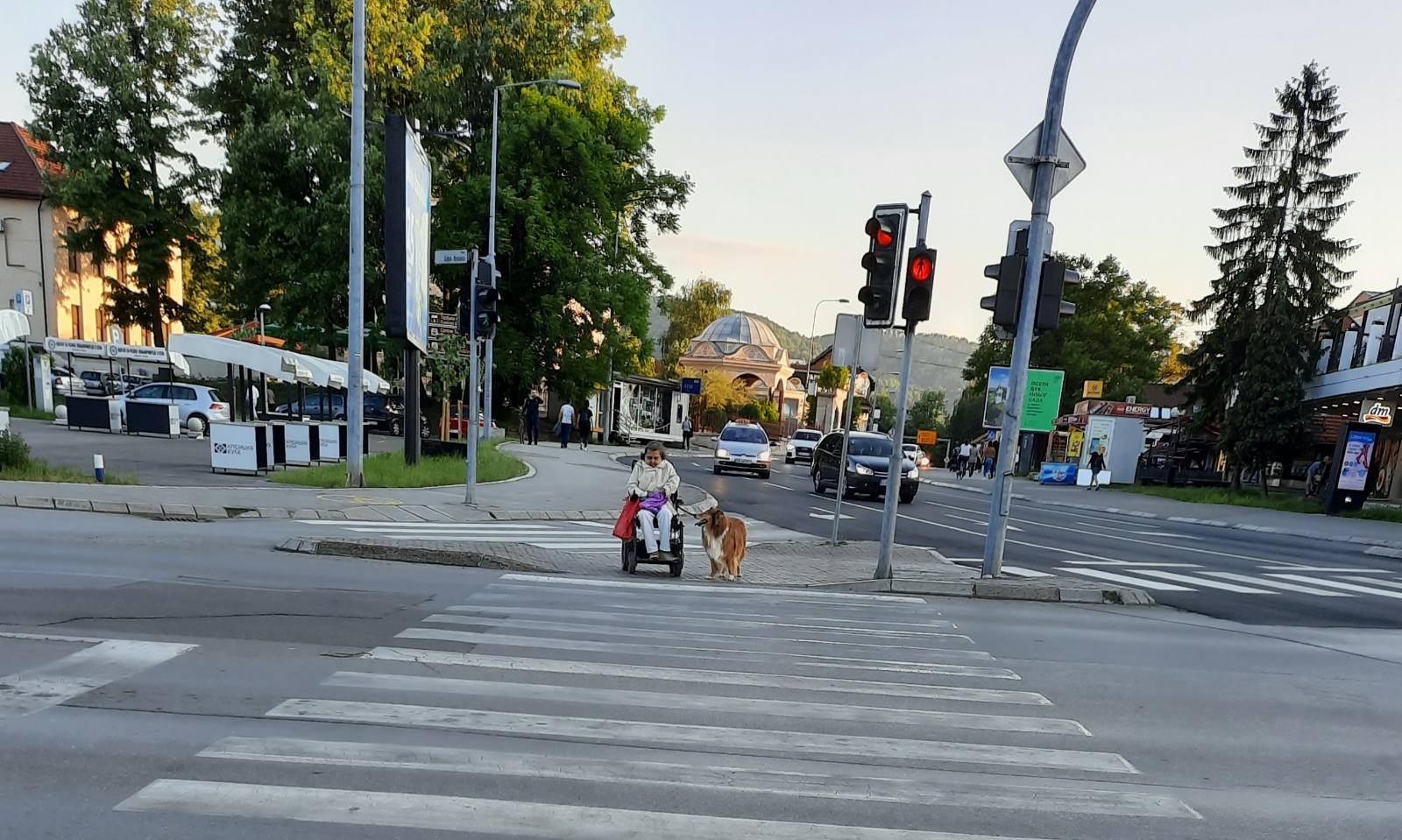 PRIZOR NA BANJALUČKIM ULICAMA ODUŠEVIO PROLAZNIKE Pas i njegova vlasnica čekali na semaforu, a onda se dogodilo nešto zbog čega ćete se naježiti