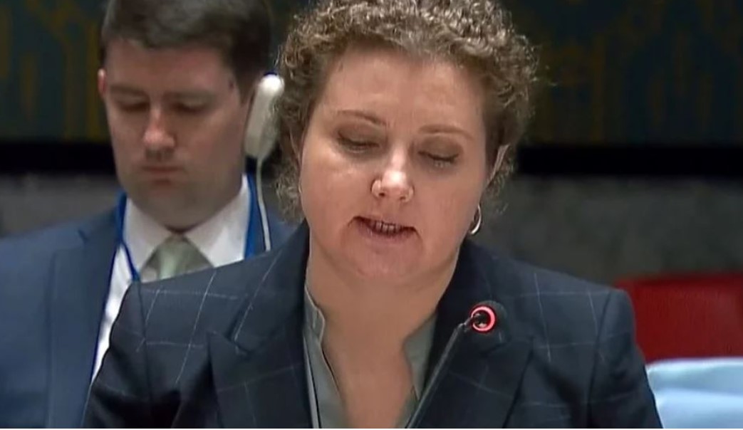 RUSIJA NA SAVJETU BEZBJEDNOSTI: BiH i Ukrajina nisu ista priča!