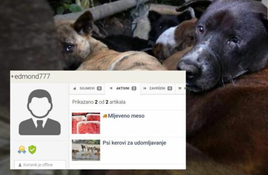 ZASTRAŠUJUĆE! LICE IZ BiH TRAŽI PSE ZA KLANJE DA IZVOZI MLJEVENO MESO: Oglas koji je zgrozio i uznemirio javnost! (FOTO)