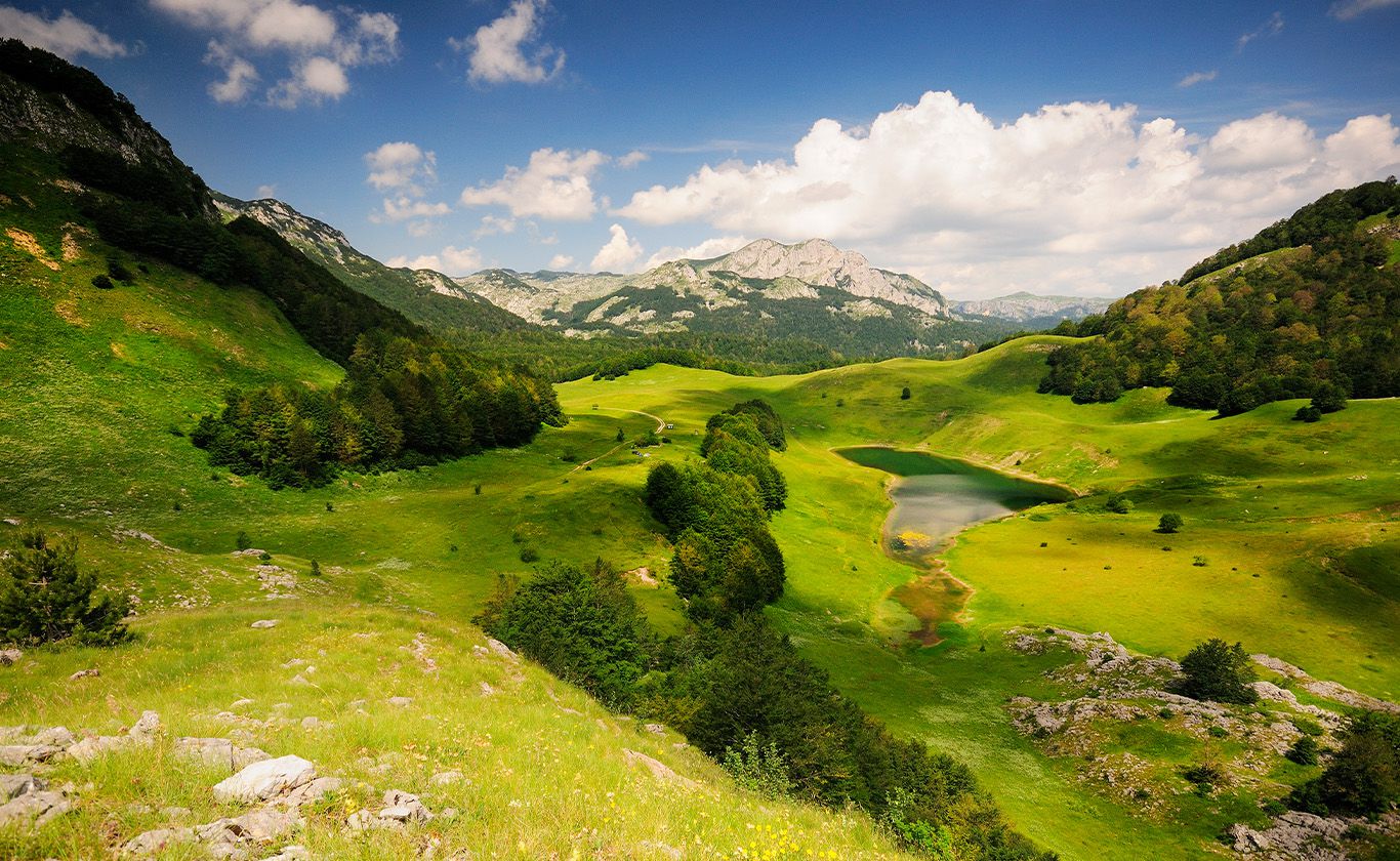 "DRUGI SE UGRAĐUJU, A MI IDIOTI" Uprava NP “Sutjeska” planira pokretanje pilane