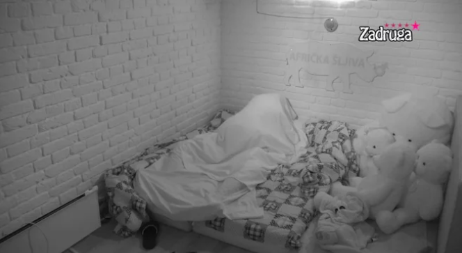 TRESLA SE IZOLACIJA Dalila i Car u svom stilu započeli vrelu akciju ispod jorgana (VIDEO)