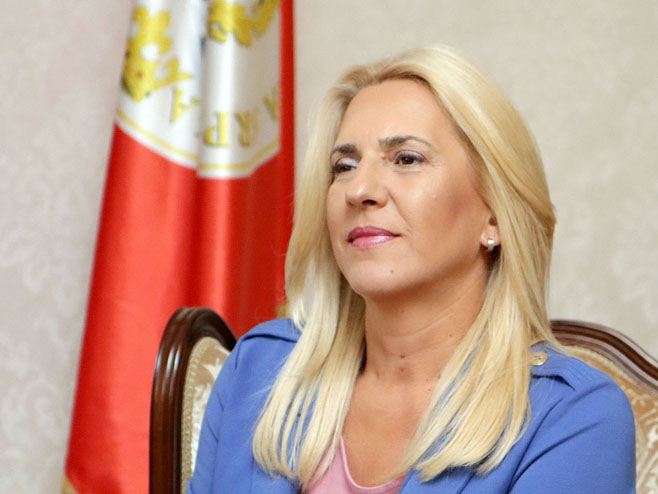"SRBI I HRVATI KRIVI ZA STANJE U BIH" Bundestag treba da ima izbalansiran stav o stanju u BiH