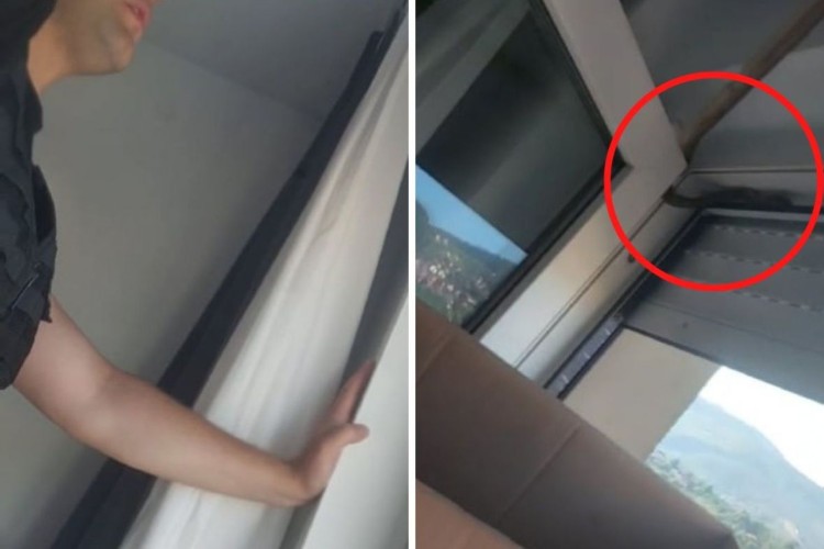 DRAMA U CENTRU GRADA Policajci "golim" rukama uhvatili zmiju u stanu