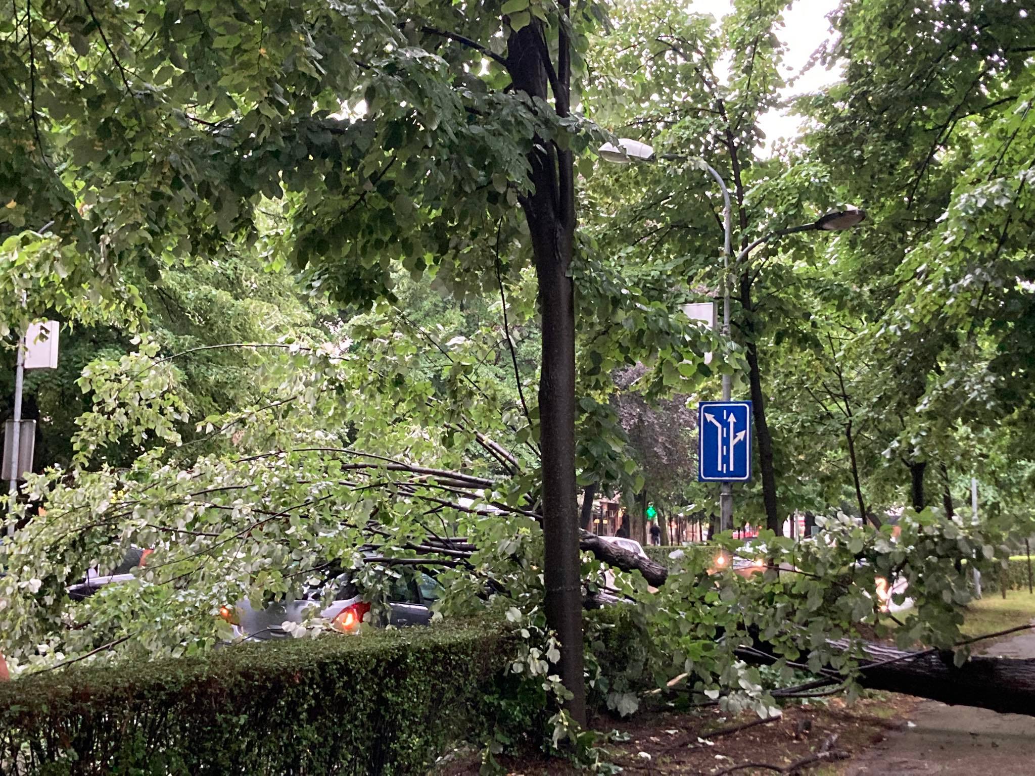 DRVO PALO NA AUTOMOBIL U VOŽNJI U BANJALUCI Auto potpuno blokirano, saobraćaj otežan (FOTO)