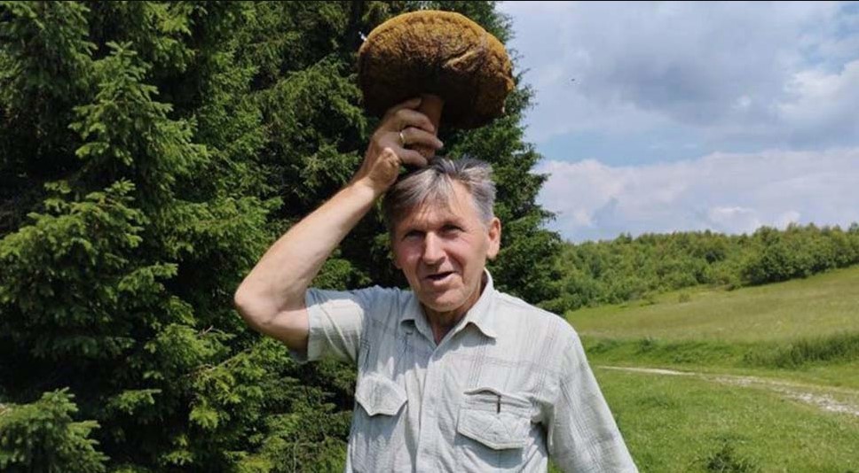 „GLEDAM JESTE, NIJE, KAD ONO PREMIJA“ Dragan pronašao džinovsku pečurku (VIDEO)