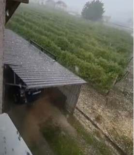 Grad veličine oraha uništio usjeve u Arilju (VIDEO)