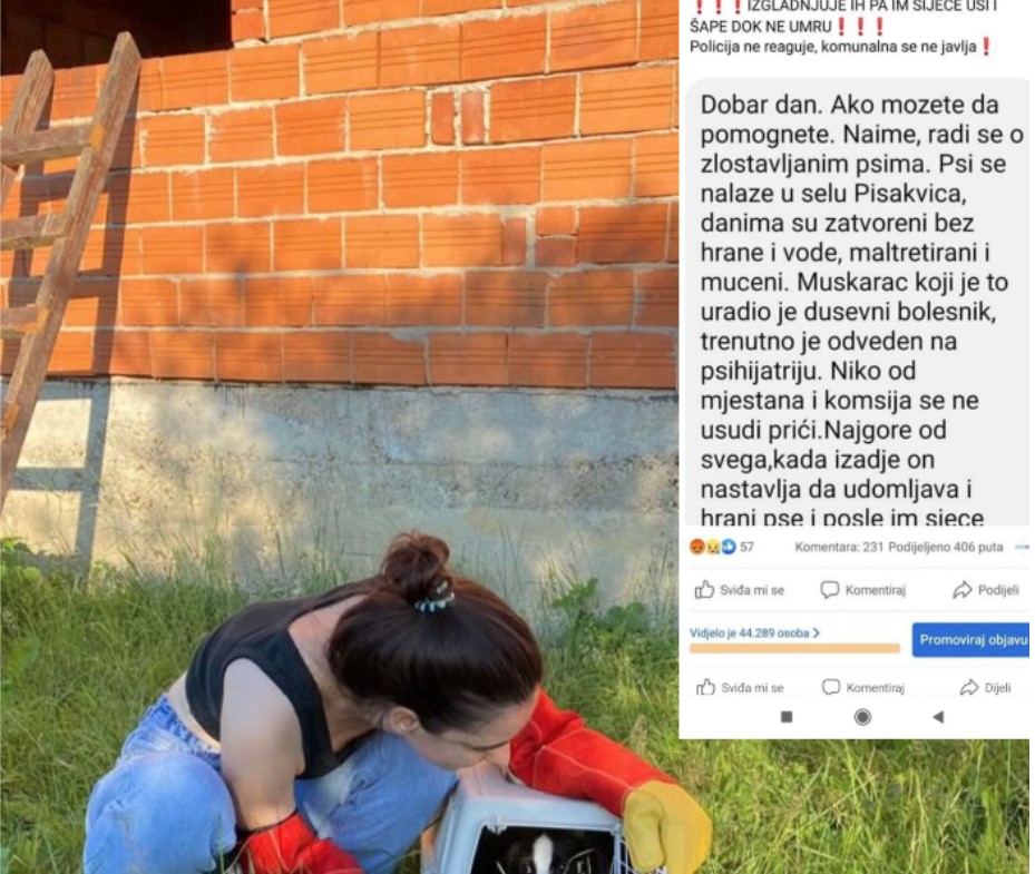 HOROR U PISKAVICI KOD BANJALUKE Psihički bolesnik izgladnjuje pse, a onda im siječe tijelo (FOTO)