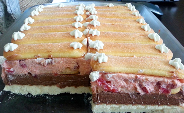 ODLIČNA POSLASTICA ZA VRELE LJETNE DANE Brza čokoladno voćna torta