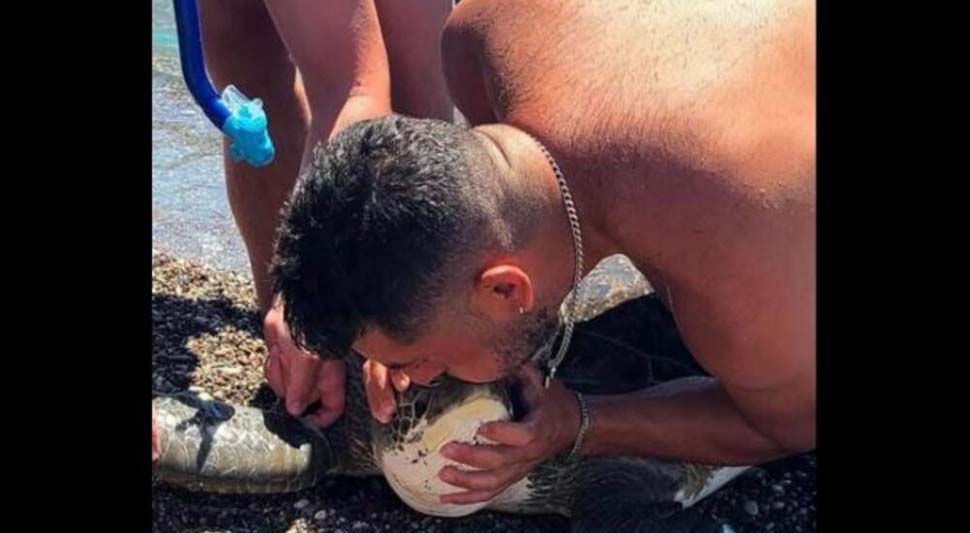 NESVAKIDAŠNJA SCENA SPASAVANJA Ronilac četiri sata usta na usta davao vještačko disanje kornjači