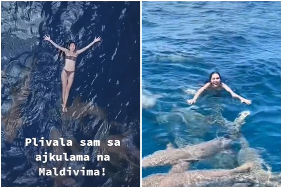 SRPKINJA PLIVA SA 20 AJKULA "Treba samo paziti da ne uleti ruka ili noga u čeljust" (VIDEO)
