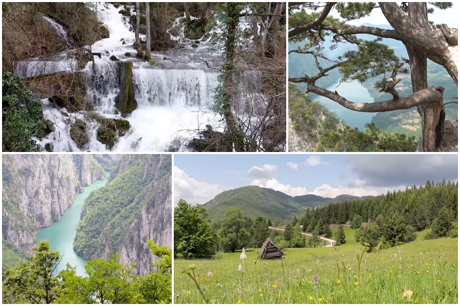PARK PRIRODE TARA POD ZAŠTITOM Ovaj status u RS imaju 32 područja na površini od skoro 68 hektara (FOTO)
