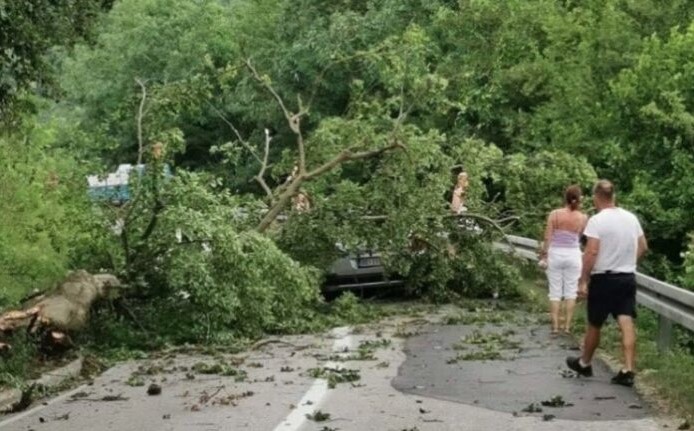 VREMENSKE NEPOGODE U FOČI Snažan vjetar oborio drveće na automobil u pokretu