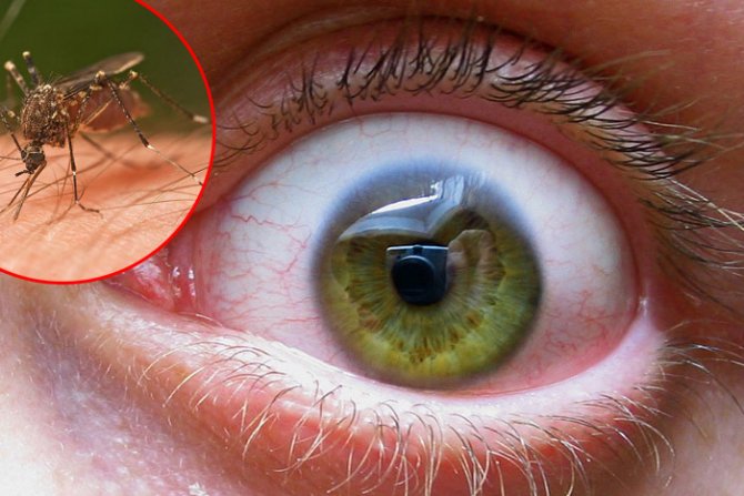 POTVRĐENO IZ INSTITUTA "BATUT" Dva slučaja oboljelih od groznice Zapadnog Nila