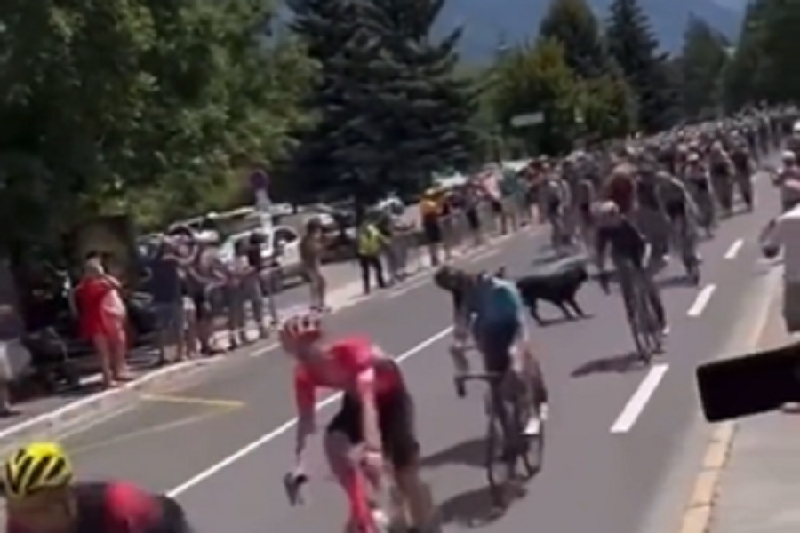 POMETNJA I TOTALNI HAOS NA ETAPI "TOUR DE FRANCE" TRKE Nepozvani gost lagodno izazvao sveopšte sudaranje na stazi (VIDEO)