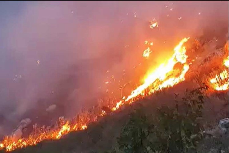 NEPRISTUPAČAN TEREN Požari u Crnoj Gori: Vatrogasci traže pomoć kanadera i helikoptera