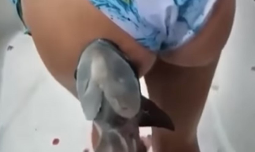 NEUGODNO ISKUSTVO Ajkula ugrizla ženu za zadnjicu, grize i ne pušta, muškarca ščepala za ruku (VIDEO)