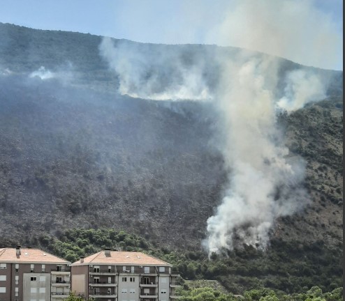 NE JENJAVA POŽAR U HERCEG NOVOM! Vatrena stihija guta sve pred sobom U gašenju učestvuju i uplašeni mještani, vatrogasci u problemu zbog nepristupačnog terena (FOTO/VIDEO)